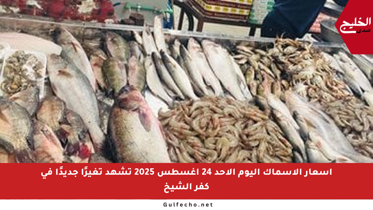 أسعار الأسماك اليوم الأحد 24 أغسطس 2025 تشهد تغيرًا جديدًا في كفر الشيخ
